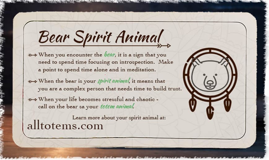 Bear spirit animal